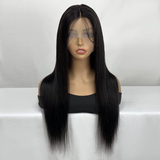 Bone Straight Double Drawn Human Hair Wig 22"