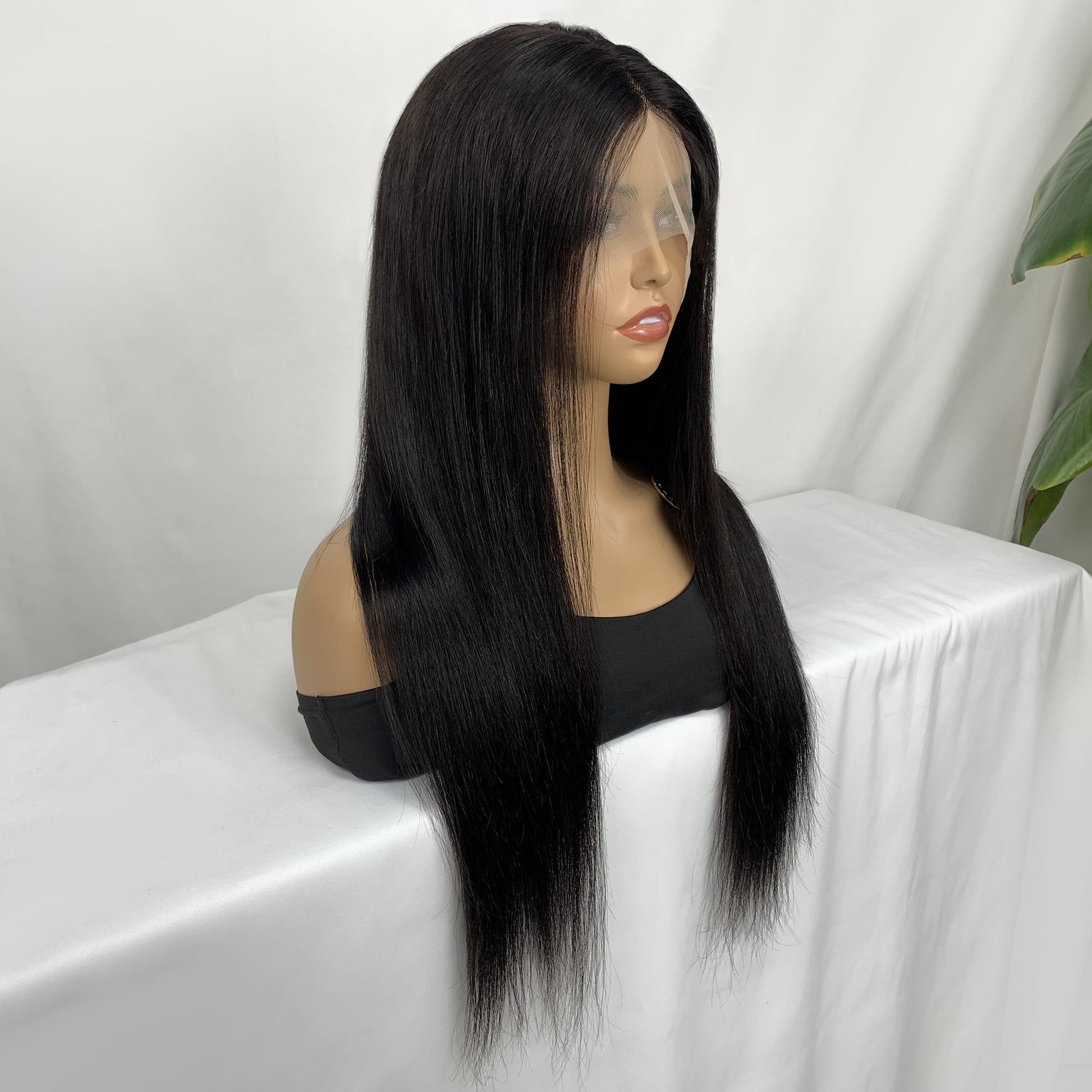 Straight Lace Frontal Human Hair Wig