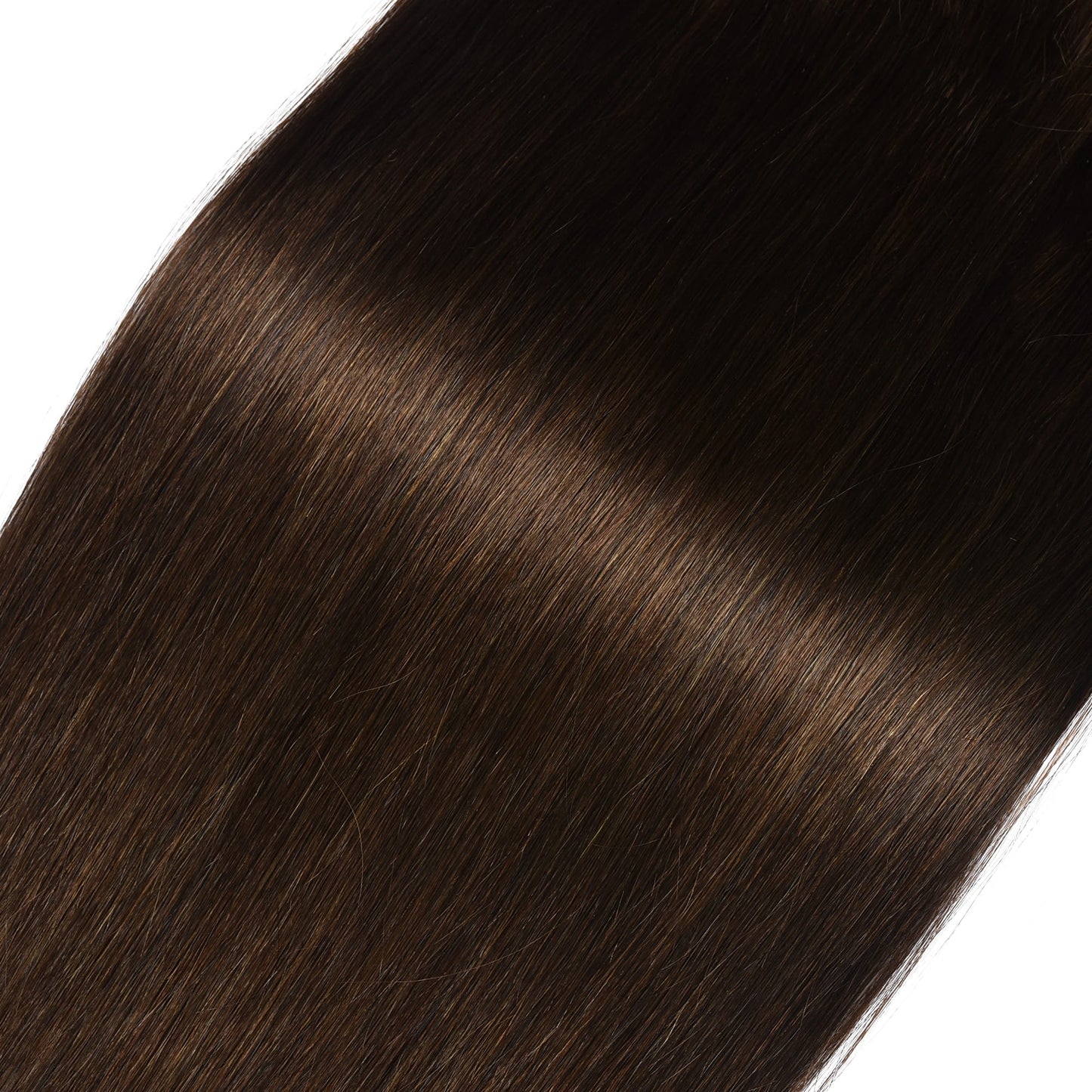 Clip in Hair Extensions #2