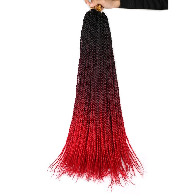 Ombre Senegalese Twist Braids 20 Strands