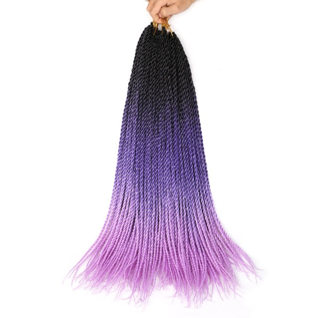 Ombre Senegalese Twist Braids 20 Strands