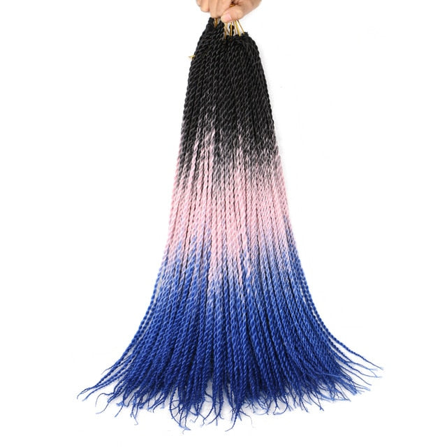 Ombre Senegalese Twist Braids 20 Strands