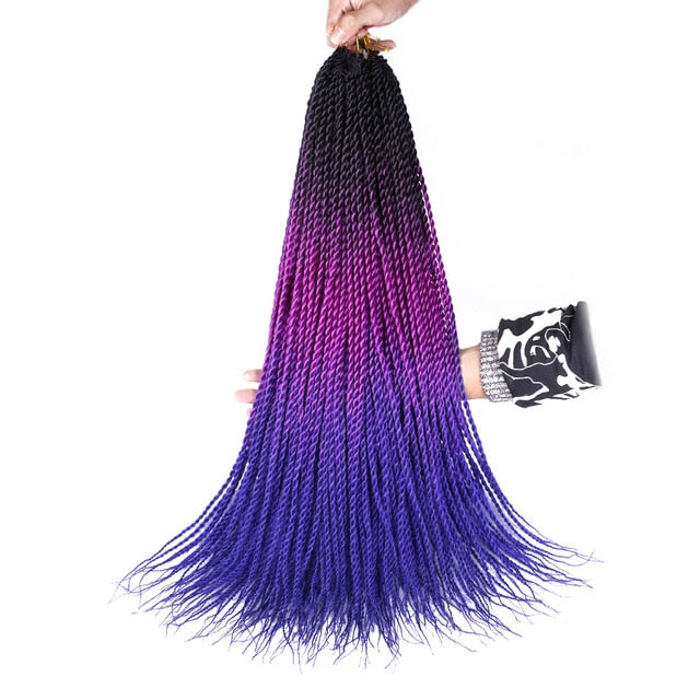 Ombre Senegalese Twist Braids 20 Strands