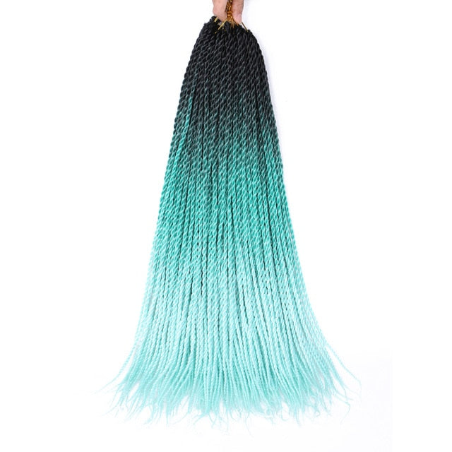 Ombre Senegalese Twist Braids 20 Strands