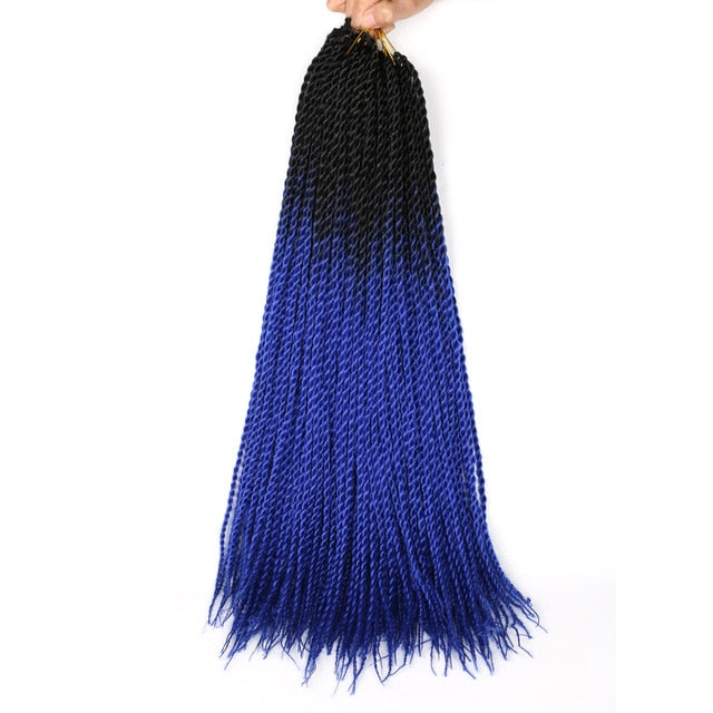 Ombre Senegalese Twist Braids 20 Strands