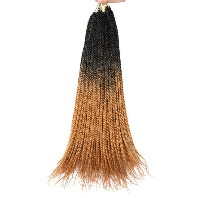 Ombre Senegalese Twist Braids 20 Strands