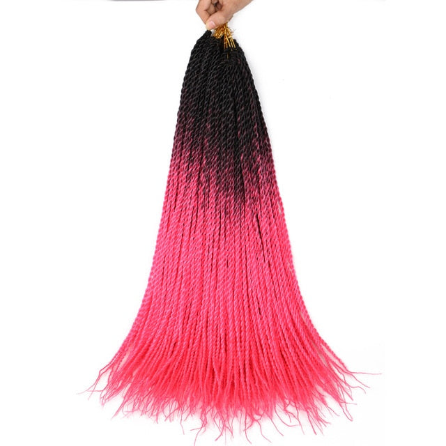 Ombre Senegalese Twist Braids 20 Strands