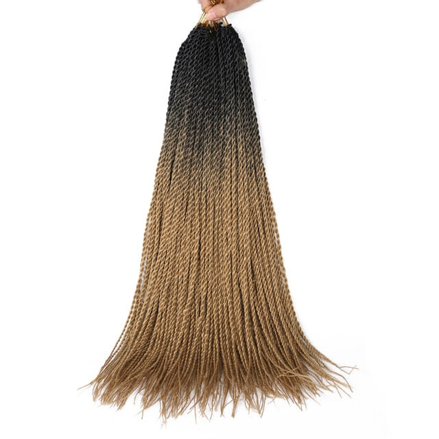 Ombre Senegalese Twist Braids 20 Strands