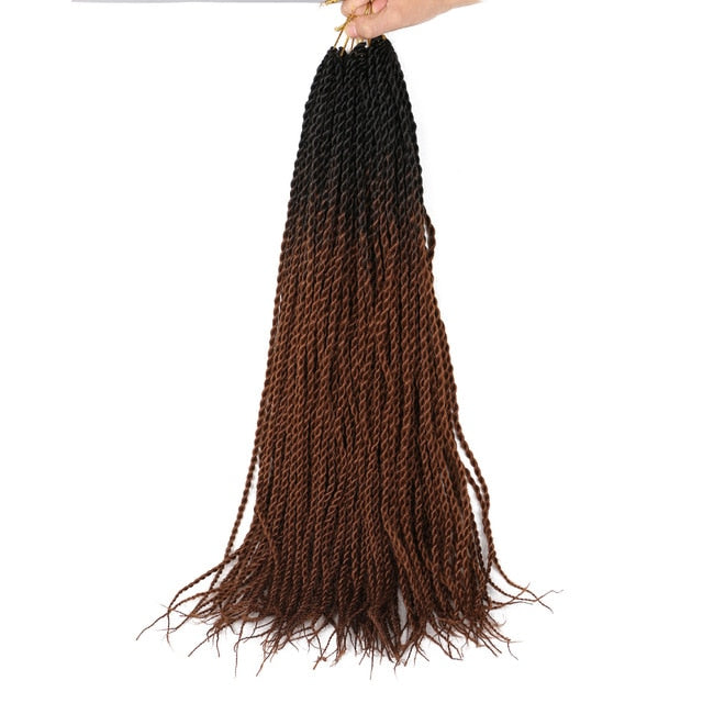 Ombre Senegalese Twist Braids 20 Strands