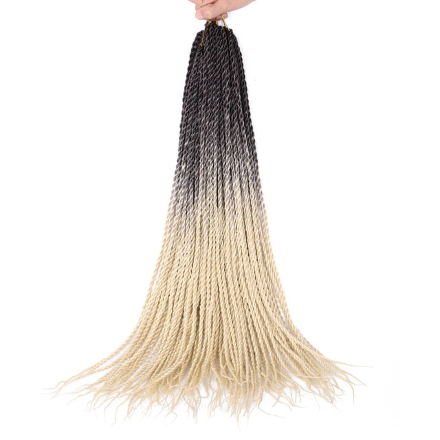 Ombre Senegalese Twist Braids 20 Strands