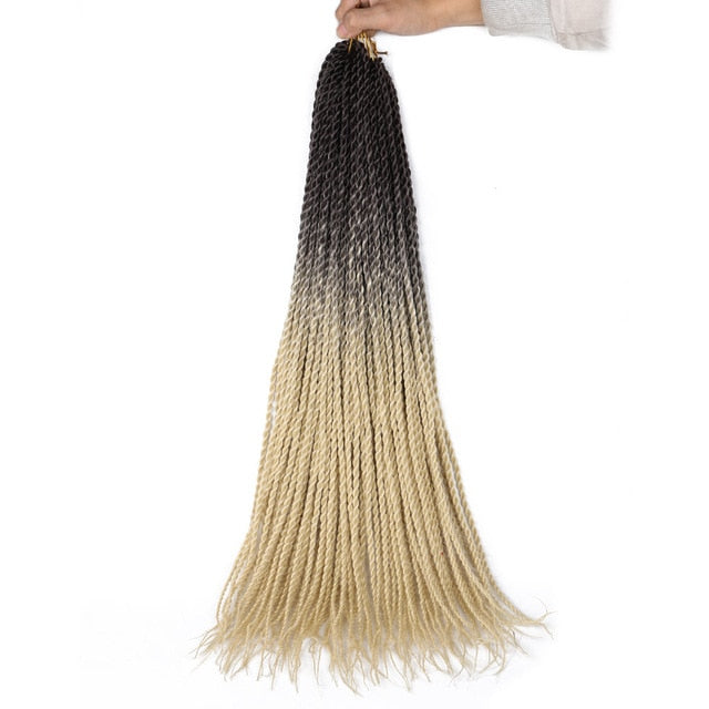 Ombre Senegalese Twist Braids 20 Strands