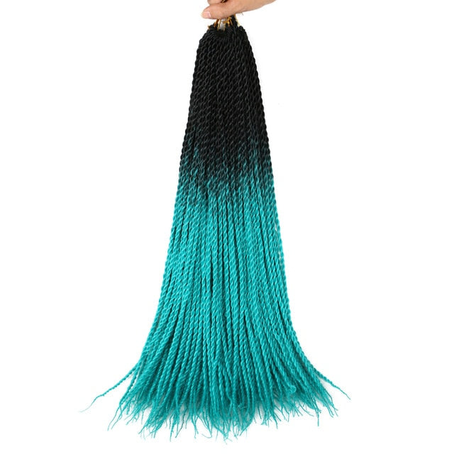 Ombre Senegalese Twist Braids 20 Strands