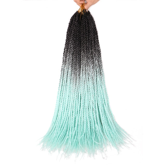 Ombre Senegalese Twist Braids 20 Strands